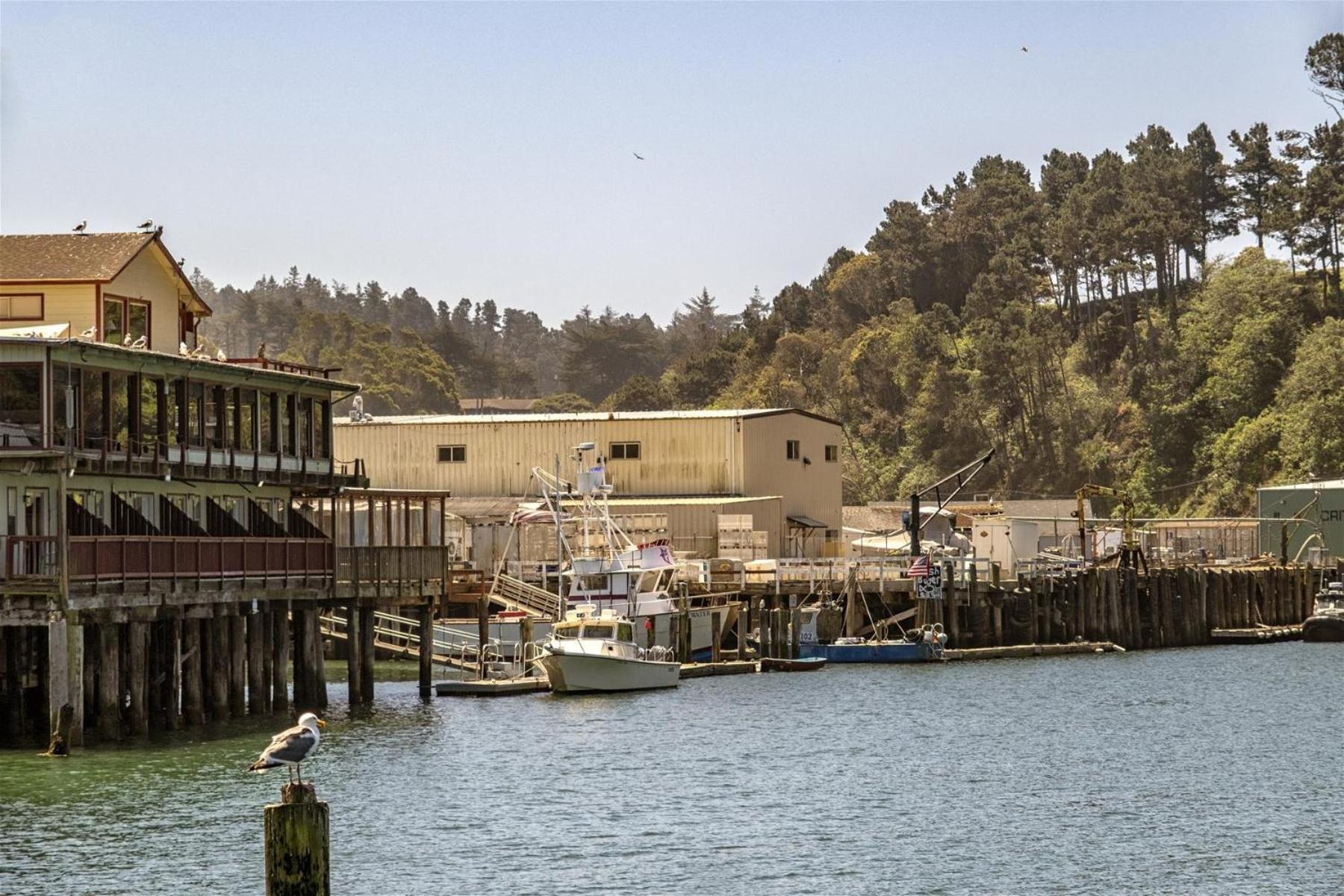 Driftwood Villa Fort Bragg Dış mekan fotoğraf